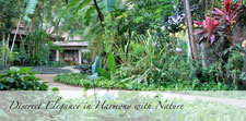 Costa Rica-Guanacaste-Hotel Capitan Suizo - Tamarindo Beach